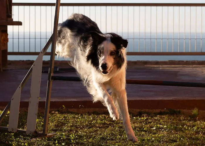 In Con Terrazza Vista Mare - Pet Friendly Apartamento Trieste