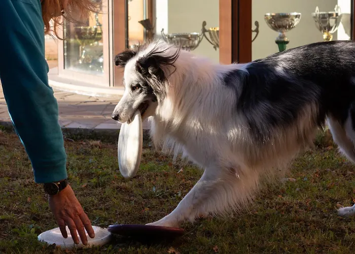 In Con Terrazza Vista Mare - Pet Friendly Апартаменти *